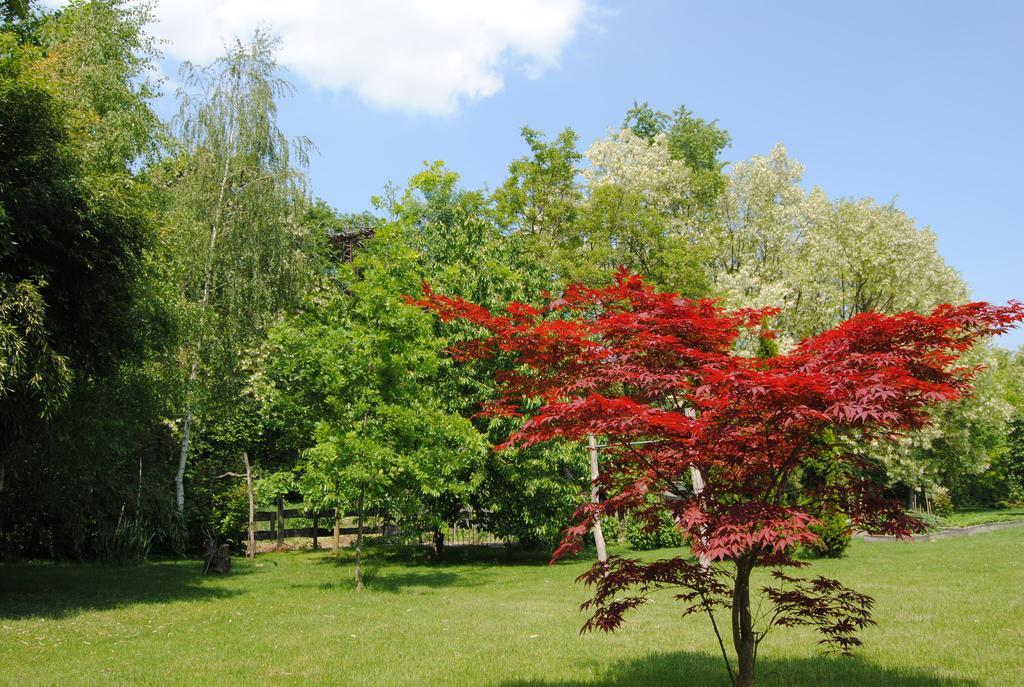 Villa Hedi Panzió Dunakiliti Esterno foto