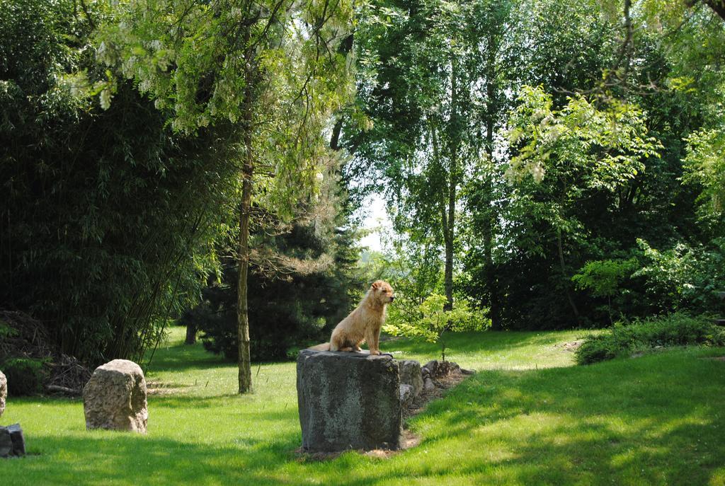 Villa Hedi Panzió Dunakiliti Esterno foto