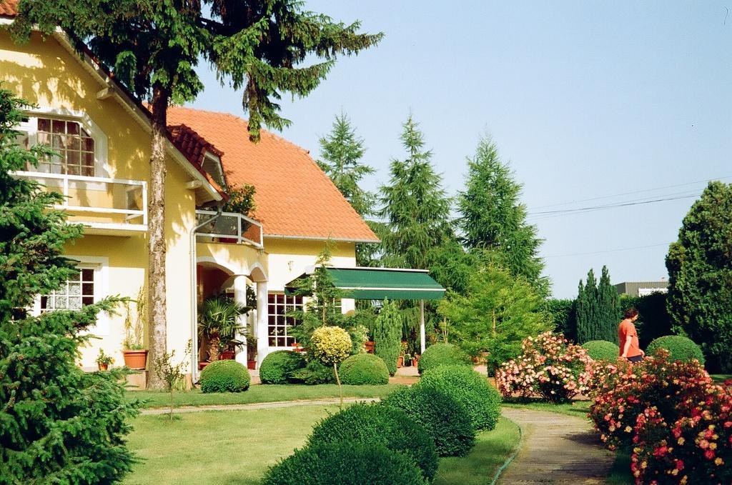 Villa Hedi Panzió Dunakiliti Esterno foto
