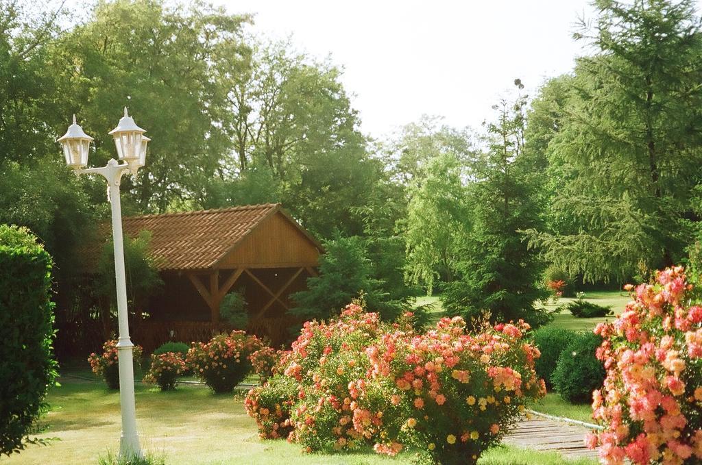 Villa Hedi Panzió Dunakiliti Esterno foto