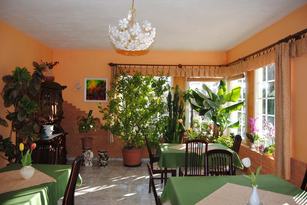 Villa Hedi Panzió Dunakiliti Esterno foto