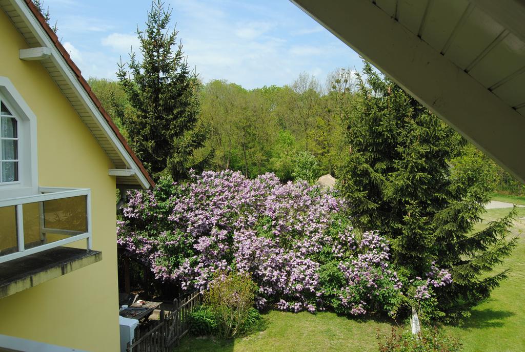 Villa Hedi Panzió Dunakiliti Esterno foto
