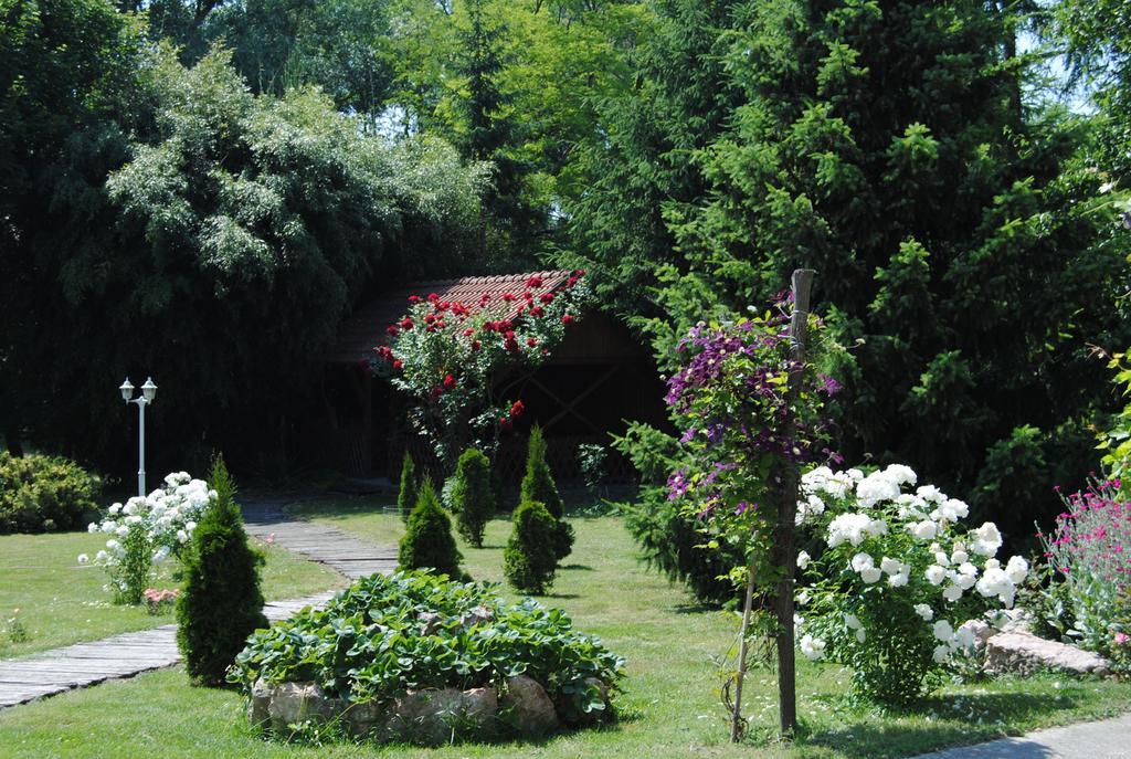 Villa Hedi Panzió Dunakiliti Esterno foto