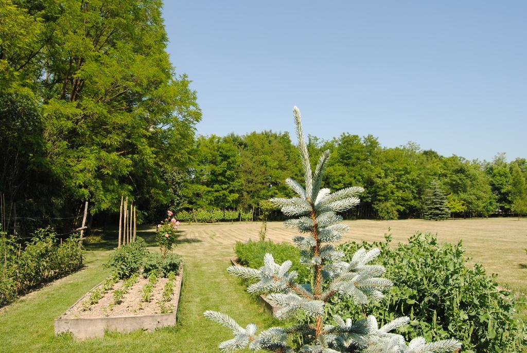Villa Hedi Panzió Dunakiliti Esterno foto