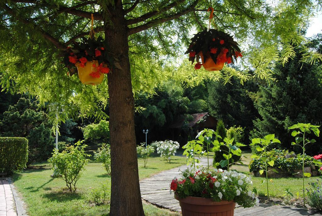 Villa Hedi Panzió Dunakiliti Esterno foto