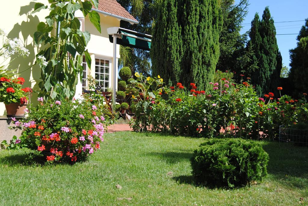 Villa Hedi Panzió Dunakiliti Esterno foto