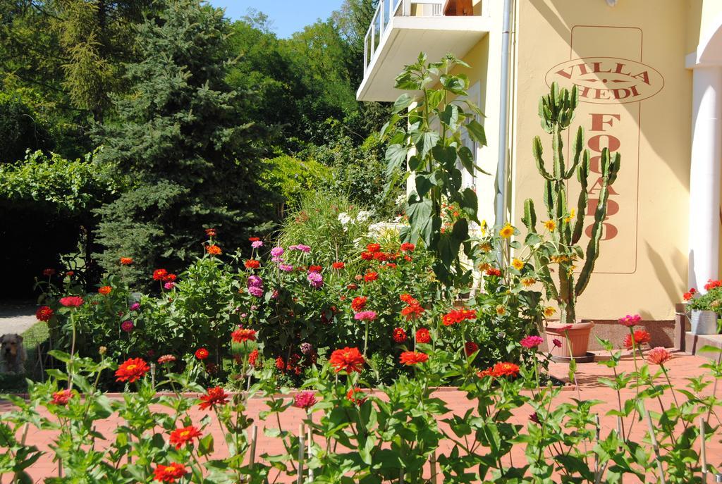 Villa Hedi Panzió Dunakiliti Esterno foto