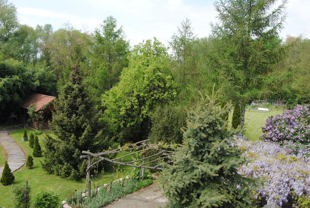 Villa Hedi Panzió Dunakiliti Esterno foto